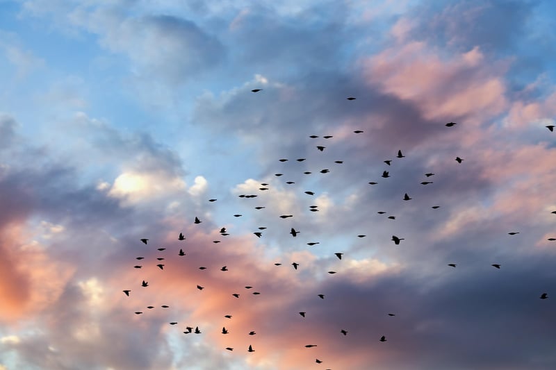 Chaotic Systems
